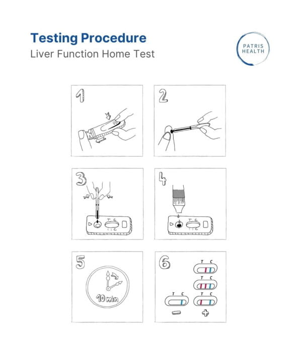 Illustration of a Testing procedure of the Patris Health® Liver Function Home Test (ALT and AST)