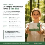Lyme disease home test detecting IgM antibodies against Borrelia in fingertip blood