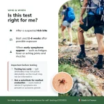 Recommended use of a Lyme disease IgM test two to six weeks after a suspected tick bite