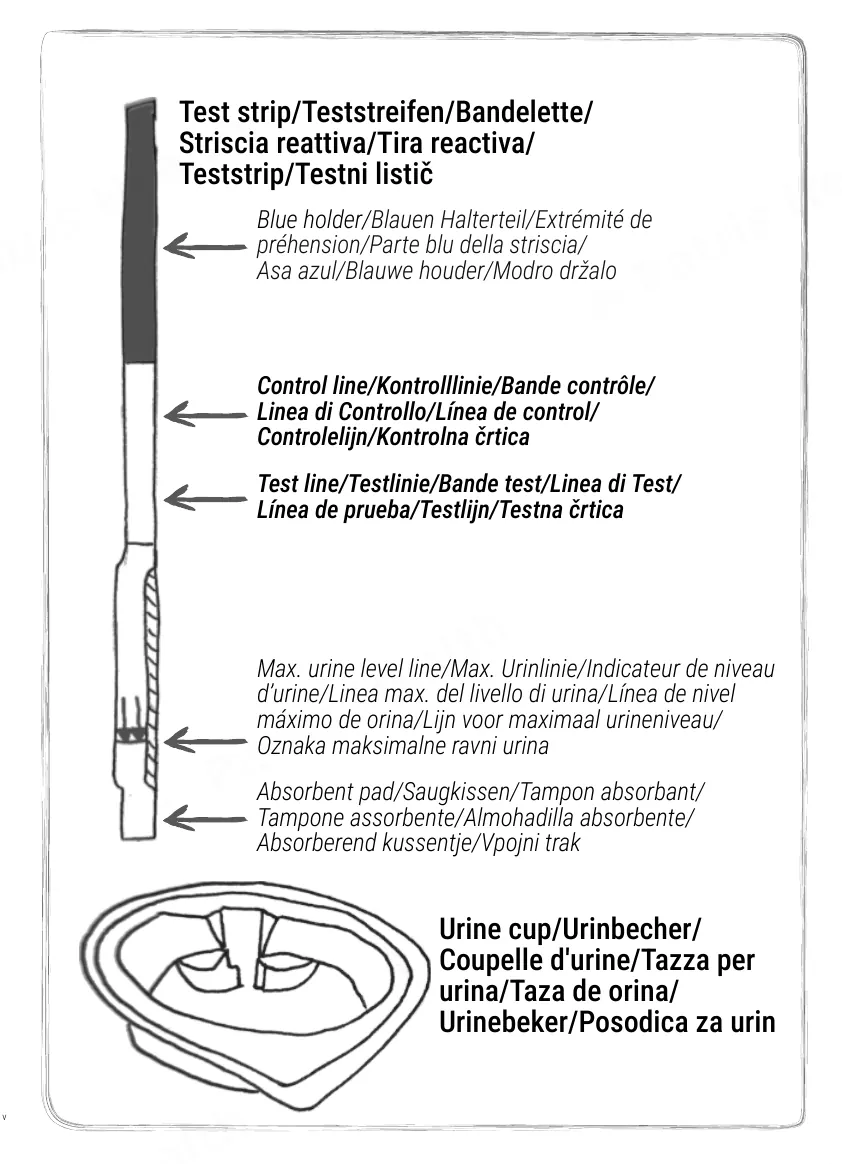 Patris Health Kidney Function Home Test instructions for use – the parts of the kit
