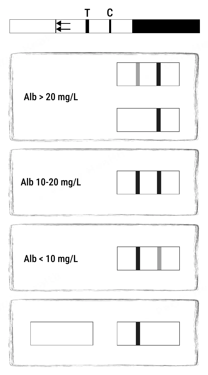Patris Health Kidney Function Home Test instructions for use – the results in pictures