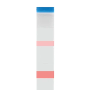 Negative result – the lower line (T) is stronger than the upper line (C)