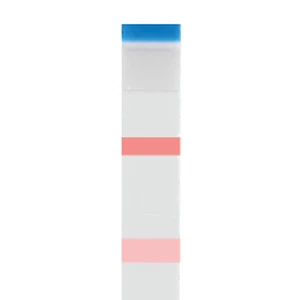 Positive result – the upper line (C) is stronger than the lower line (T)
