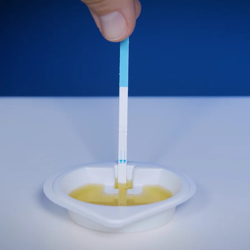 Patris Health Kidney Function Home Test – step 2, test strip standing in the notch of the cup with its tip in the urine