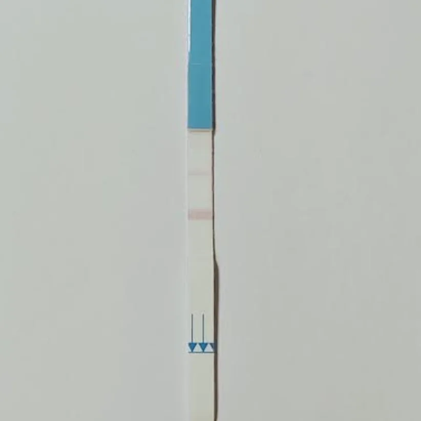 Patris Health Kidney Function Home Test – step 3, test strip lying flat while the lines develop