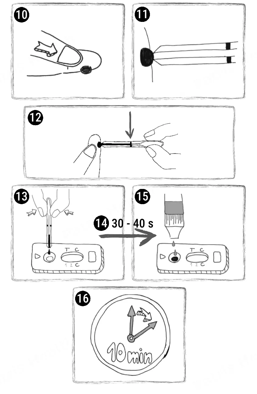 Patris Health Thyroid Function Home Test instructions for use – the testing procedure in pictures (part 2)
